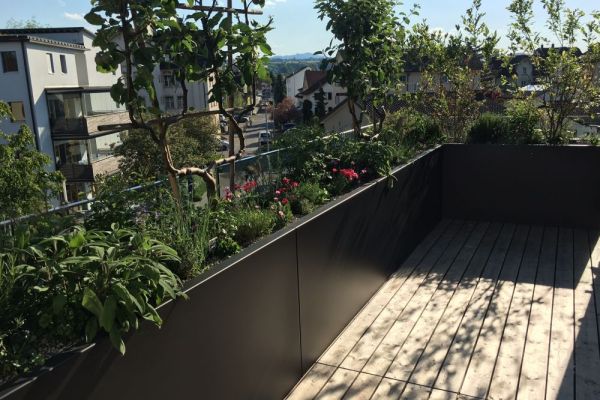 MAE 1 Terrassenabschluss mit Pflanzengefässen Klarglas Mätzler.JPG