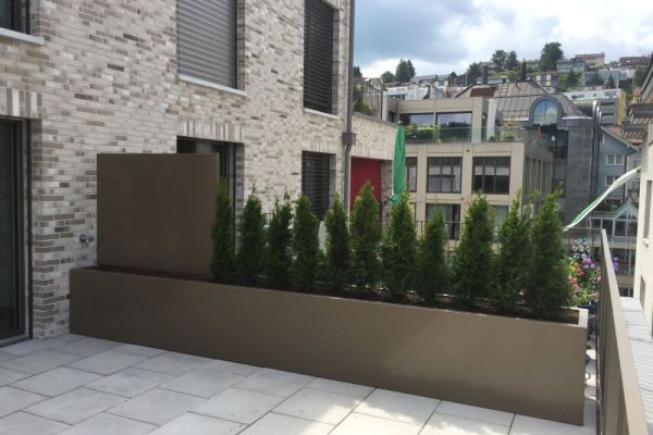 HE_01_Pflanzentrog als Terrassenunterteilung mit natürlichem und eingesetztem Sichtschutz.JPG